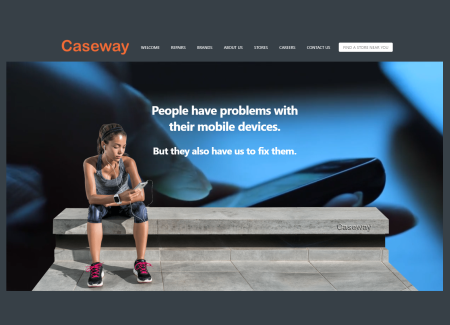 MOBILE PHONE ACCESSORIES INDUSTRY  